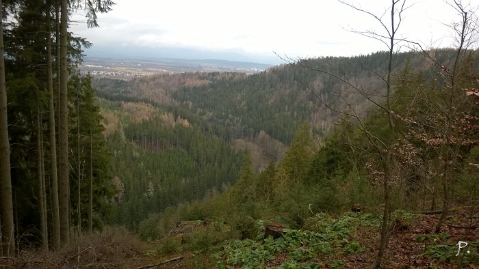 Pohled do údolí Ohře